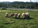 DSCF0701[1]