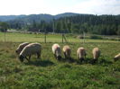 DSCF0705[1]