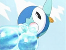 Pipipiplup!