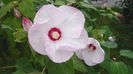 061