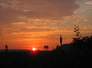 IMG_1635 - Copia