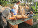 IMG_1660 - Copia