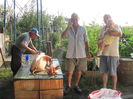 IMG_1686 - Copia