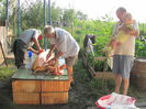 IMG_1691 - Copia