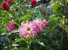 DSCN0402