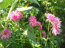 DSCN0403