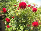DSCN0406