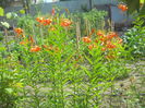 DSCN0408