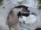 DSC03064