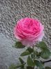 DSC03147
