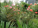 SAM_0144