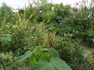 SAM_0328