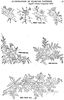 238247-e14b3-45488762-m750x740-uae269