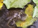 IMG_20140730_185140