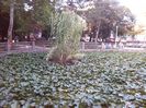 IMG_20140730_185322