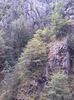 IMG_20140723_175747