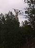 IMG_20140723_180847