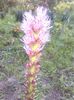 IMG_20140630_194127