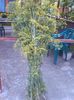 IMG_20140701_193056