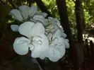 IMG_20140706_134609