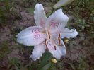 IMG_20140711_150154