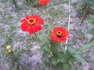 IMG_20140711_150340