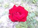 IMG_20140711_150358