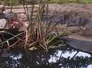 IMG_20140711_150626