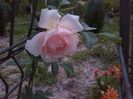 IMG_20140711_150819
