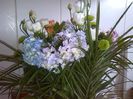 IMG_20140620_121533