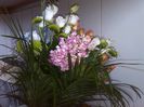 IMG_20140620_121556