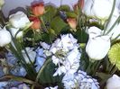 IMG_20140620_121630