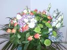 IMG_20140620_121847