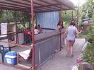 IMG_20140524_172404