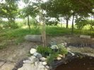 IMG_20140519_151143