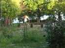 IMG_20140521_193122