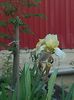 IMG_20140521_193305