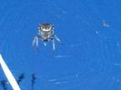IMG_20140407_200721