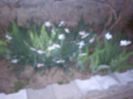 IMG_20140407_200857