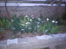 IMG_20140407_200914
