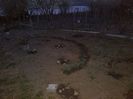 IMG_20140407_200941