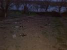 IMG_20140407_200957