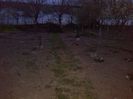 IMG_20140407_201012