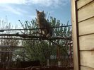 IMG_20140414_084647