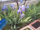 IMG_20140427_151838