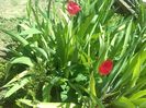 IMG_20140429_125421