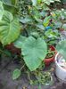 DSC03052
