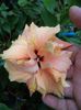 DSC03119