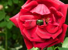 DSCN8203