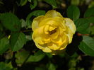 DSCN8204